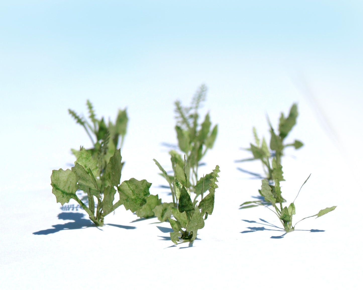 naaron88 Leafy herbs for HO scale dioramas. Made from laser cut green paper.