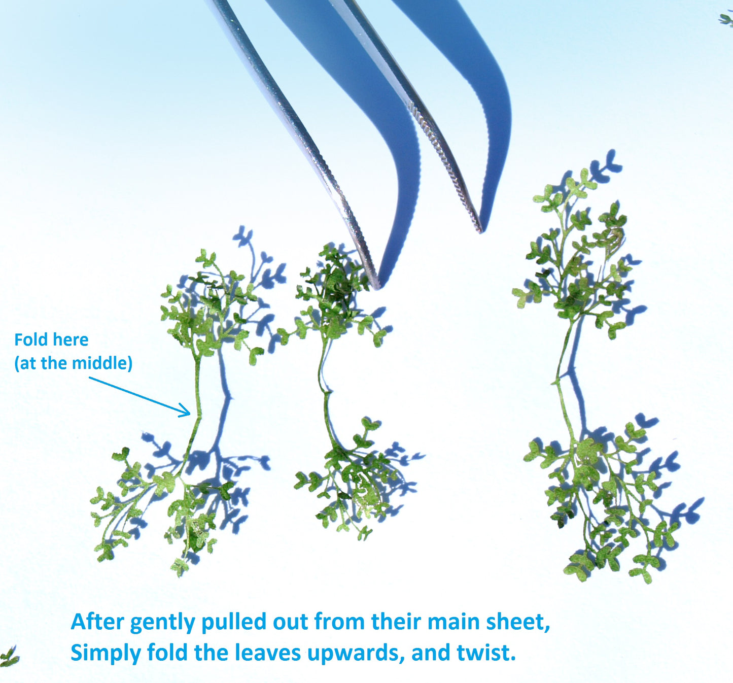 naaron88 leafy bush B laser cut plants for HO scale dioramas