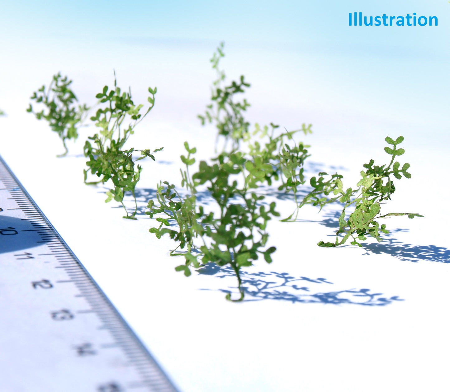 naaron88 leafy bush B laser cut plants for HO scale dioramas